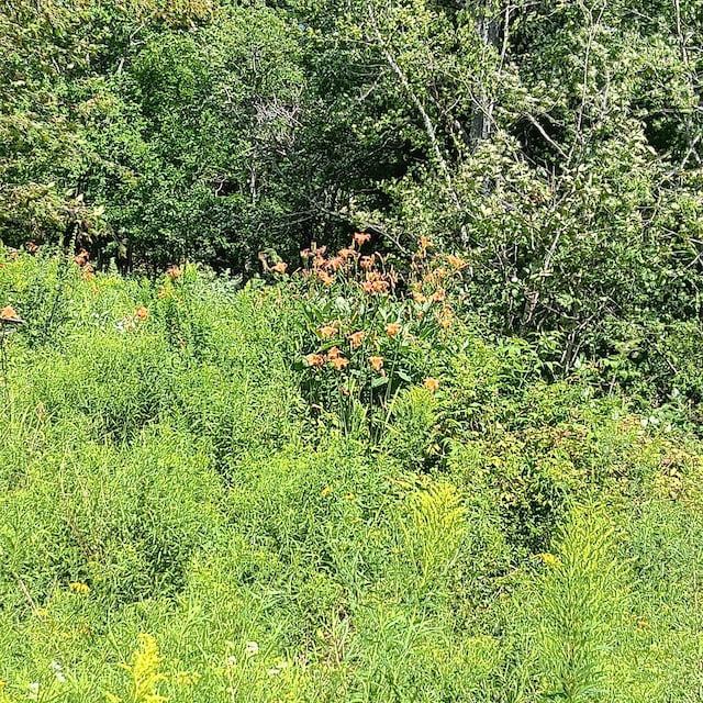 1165 W Alna Rd, Alna, ME 04535 - photo 27