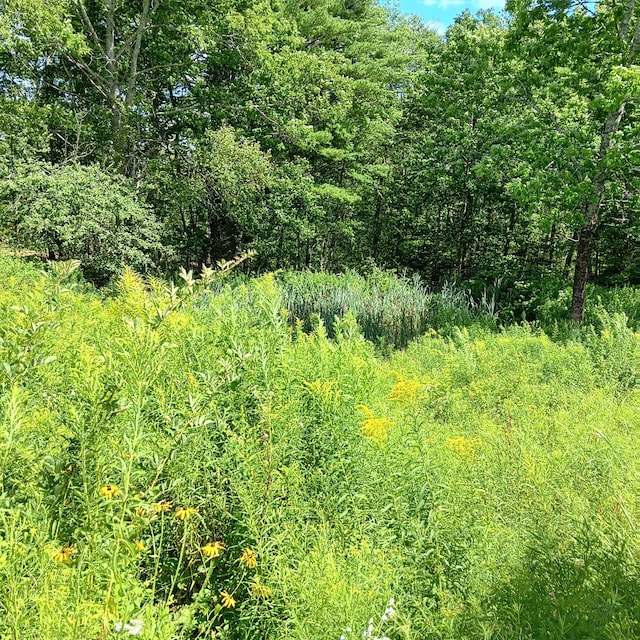 1165 W Alna Rd, Alna, ME 04535 - photo 13