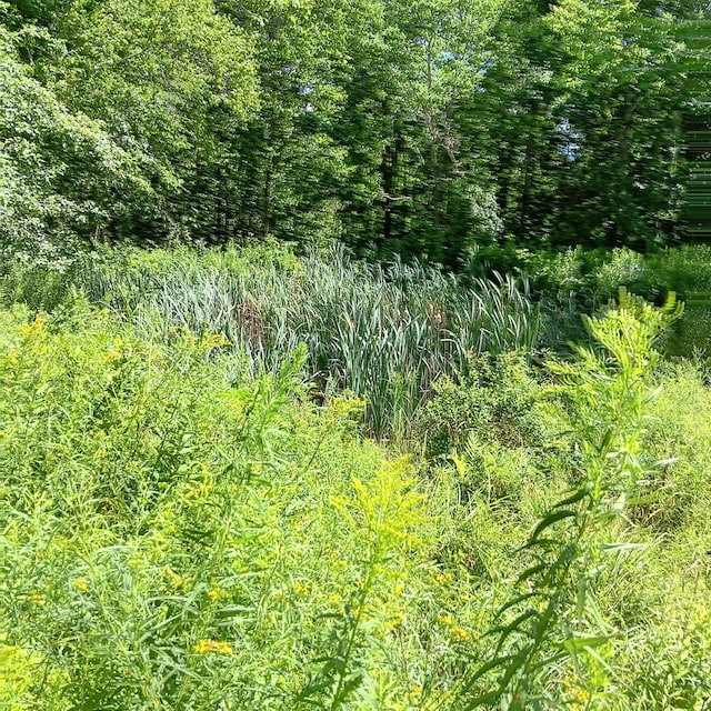 1165 W Alna Rd, Alna, ME 04535 - photo 14