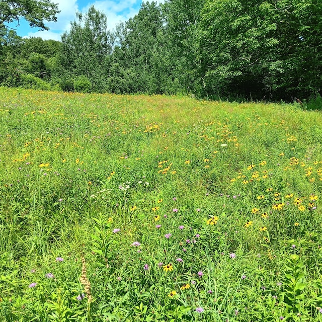 1165 W Alna Rd, Alna, ME 04535 - photo 19