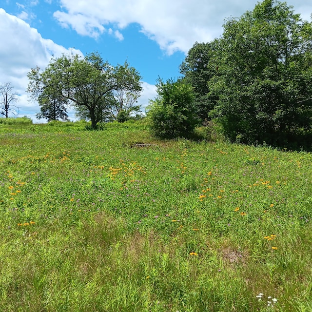 1165 W Alna Rd, Alna, ME 04535 - photo 21