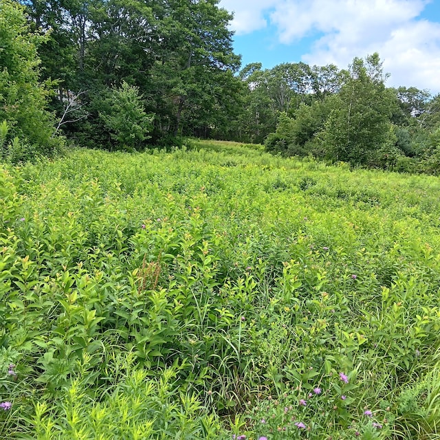 1165 W Alna Rd, Alna, ME 04535 - photo 24