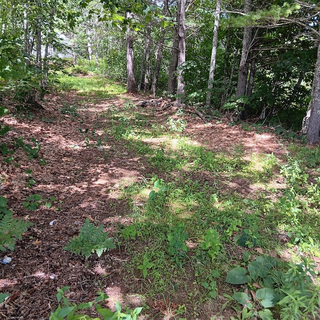 1165 W Alna Rd, Alna, ME 04535 - photo 25
