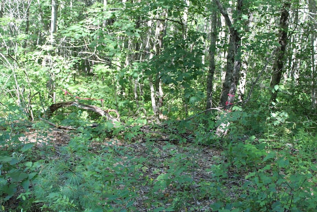 LOT2 W St, Jefferson, ME 04348 - photo 2