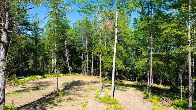 131 Thurston Rd, Cornville, ME 04976 - photo 26