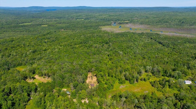 131 Thurston Rd, Cornville, ME 04976 - photo 30