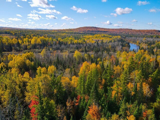 MAP3LOT1 Mapleton Rd, Mapleton, ME 04757 - photo 4