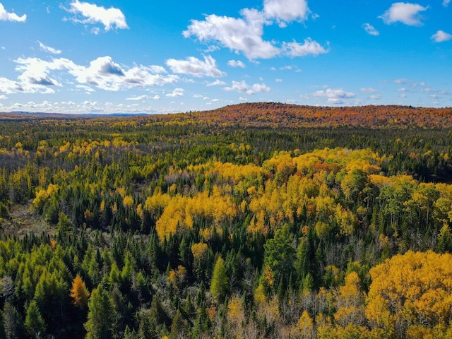 MAP3LOT1 Mapleton Rd, Mapleton, ME 04757 - photo 5