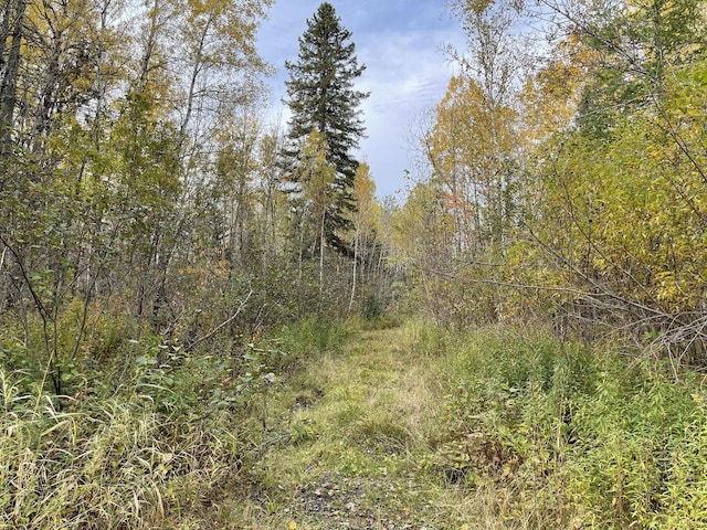 MAP3LOT1 Mapleton Rd, Mapleton, ME 04757 - photo 10