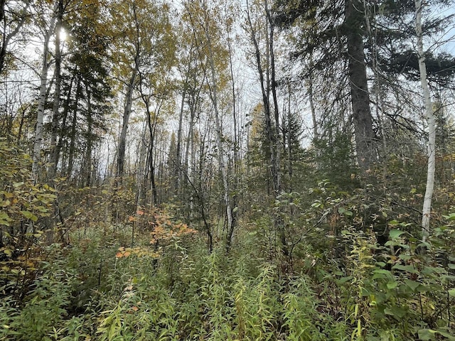 MAP3LOT1 Mapleton Rd, Mapleton, ME 04757 - photo 11