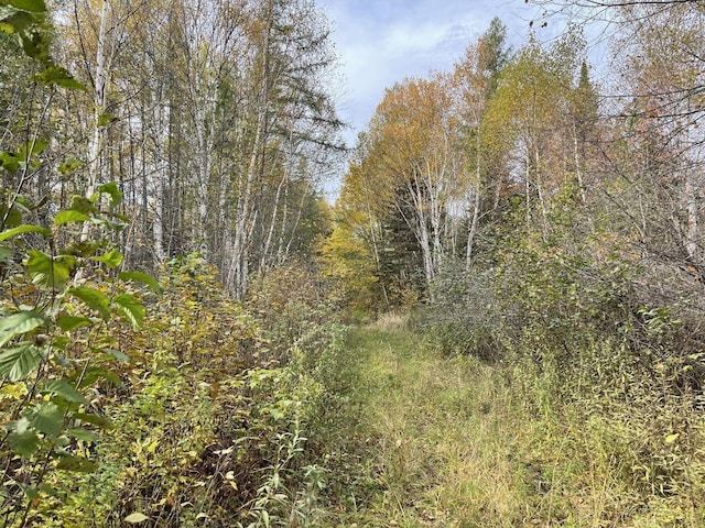 MAP3LOT1 Mapleton Rd, Mapleton, ME 04757 - photo 12
