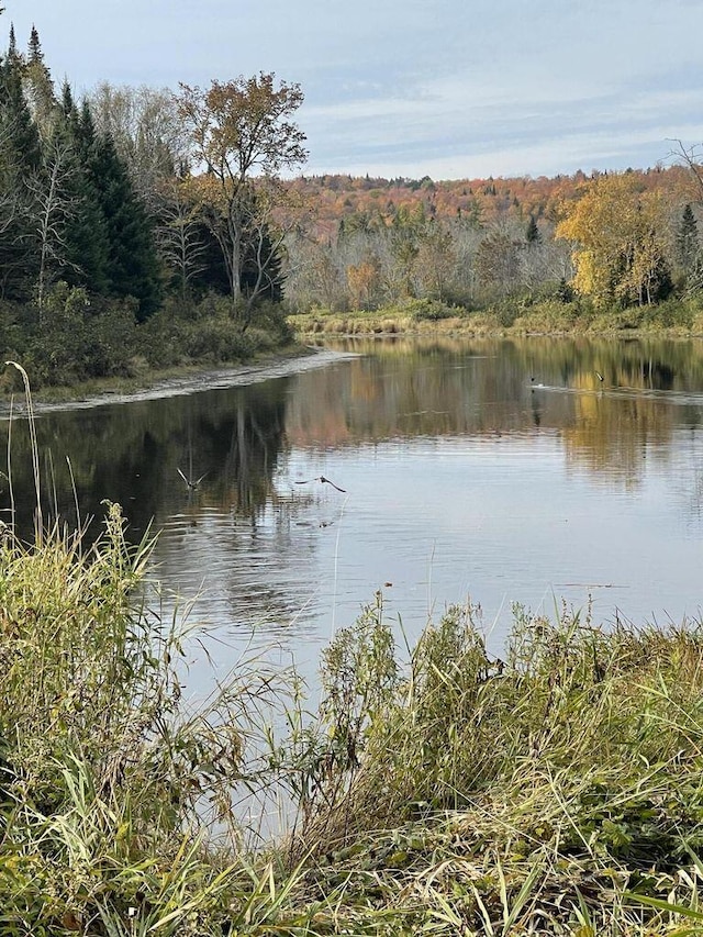 MAP3LOT1 Mapleton Rd, Mapleton, ME 04757 - photo 13