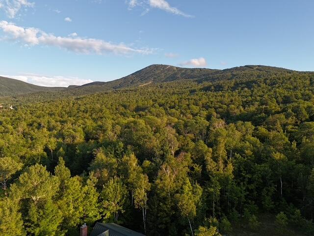 6099ALL Village On The Green Rd, Carrabassett Valley, ME 04947 - photo 6