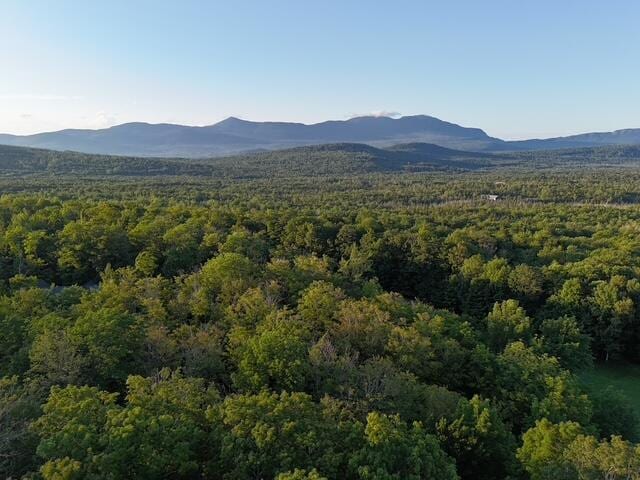 6099ALL Village On The Green Rd, Carrabassett Valley, ME 04947 - photo 7