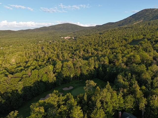 6099ALL Village On The Green Rd, Carrabassett Valley, ME 04947 - photo 9