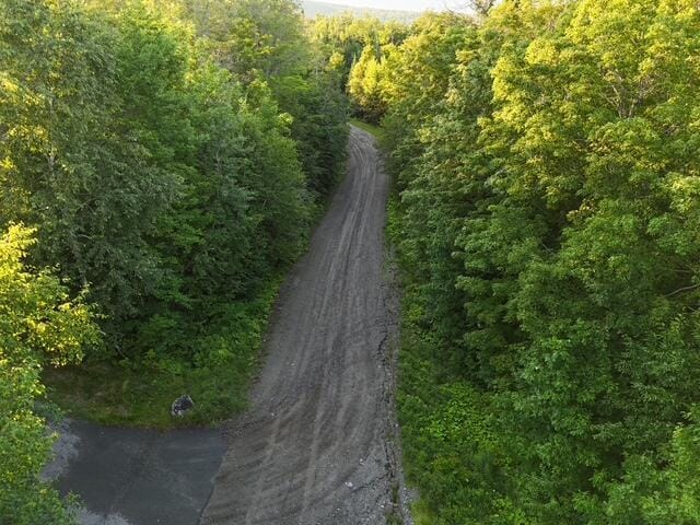 6099ALL Village On The Green Rd, Carrabassett Valley, ME 04947 - photo 10