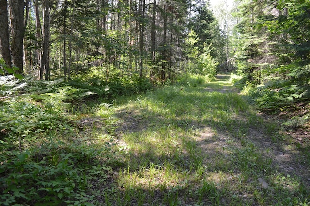 253 Sinclair Rd, Sinclair, ME 04779 - photo 14