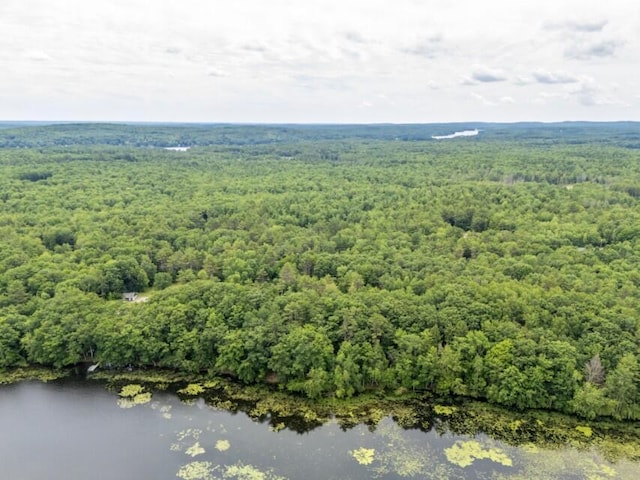 258 Lunts Hill Rd, Litchfield, ME 04350 - photo 4