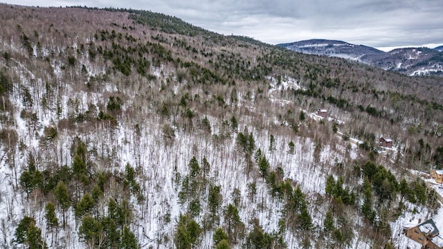 12 Thunder Ridge Rd, Newry, ME 04217 - photo 2