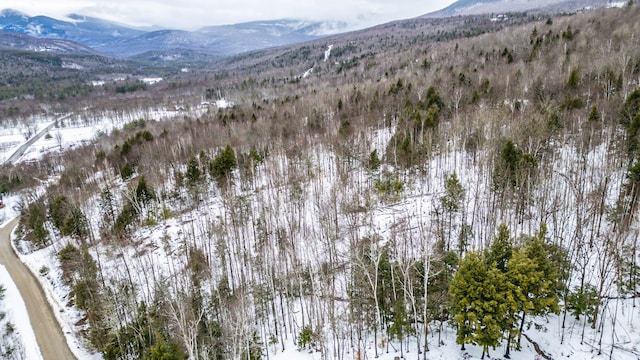 12 Thunder Ridge Rd, Newry, ME 04217 - photo 3