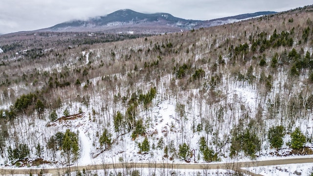 12 Thunder Ridge Rd, Newry, ME 04217 - photo 5