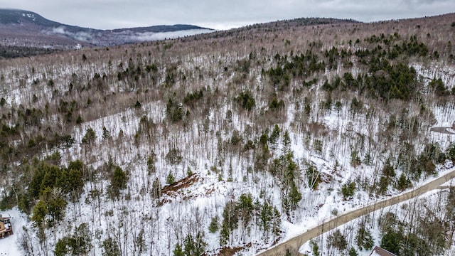 12 Thunder Ridge Rd, Newry, ME 04217 - photo 6