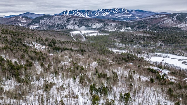 12 Thunder Ridge Rd, Newry, ME 04217 - photo 1