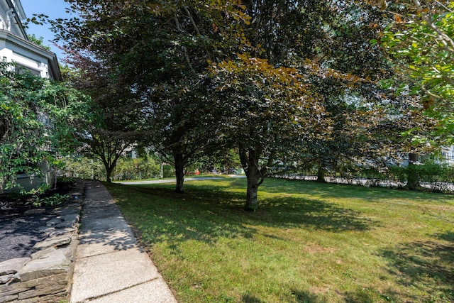 67 Beacon St, Portland, ME 04103 - photo 56