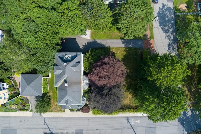 67 Beacon St, Portland, ME 04103 - photo 65