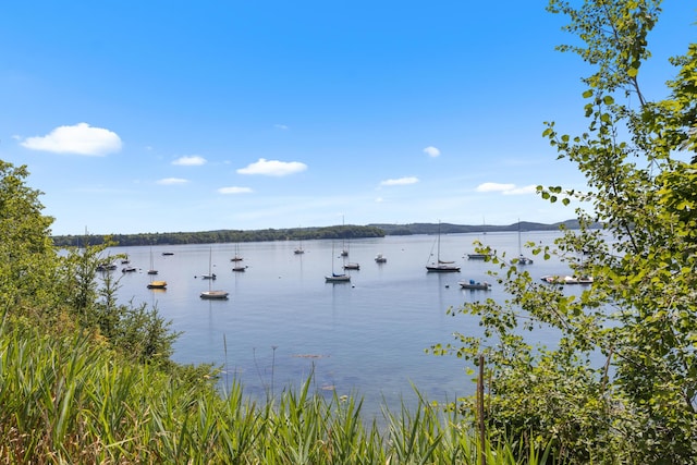 78 Water St, Castine, ME 04421 - photo 7