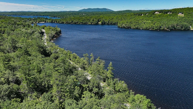 209 Norway Rd, Harrison, ME 04040 - photo 49
