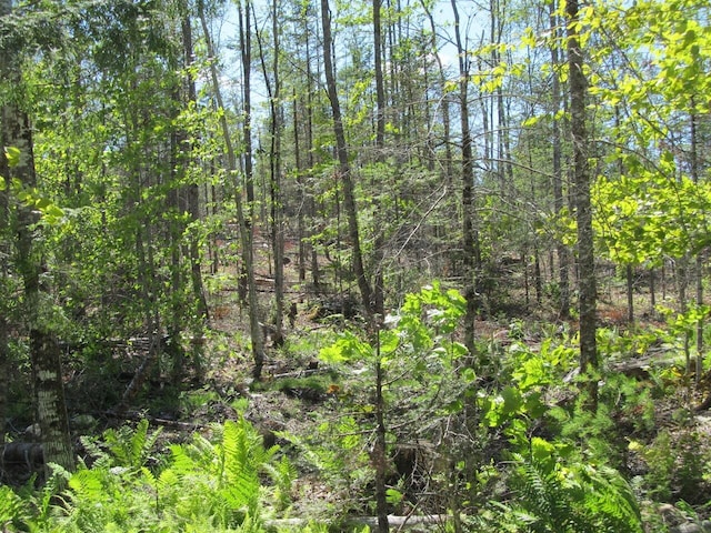 013 Concord Pond Rd, Woodstock, ME 04219 - photo 4