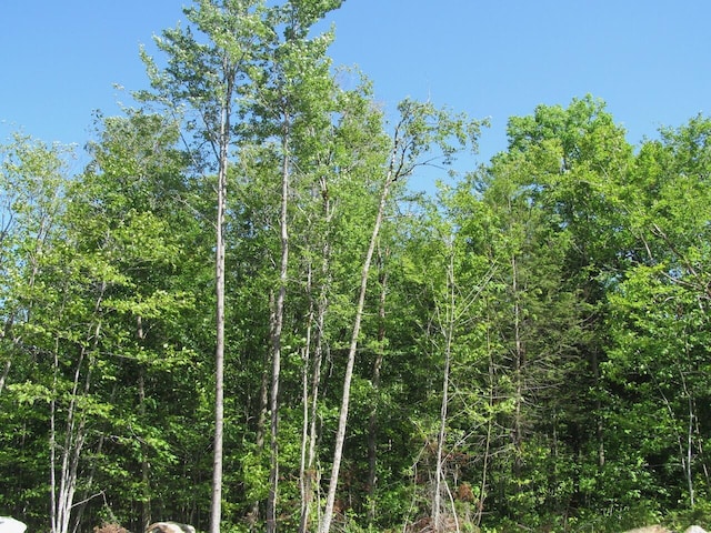 013 Concord Pond Rd, Woodstock, ME 04219 - photo 5