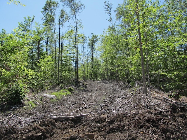 013 Concord Pond Rd, Woodstock, ME 04219 - photo 10