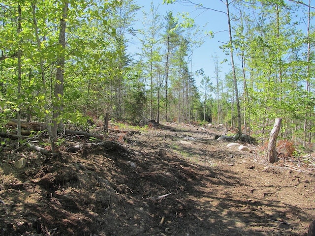 013 Concord Pond Rd, Woodstock, ME 04219 - photo 12