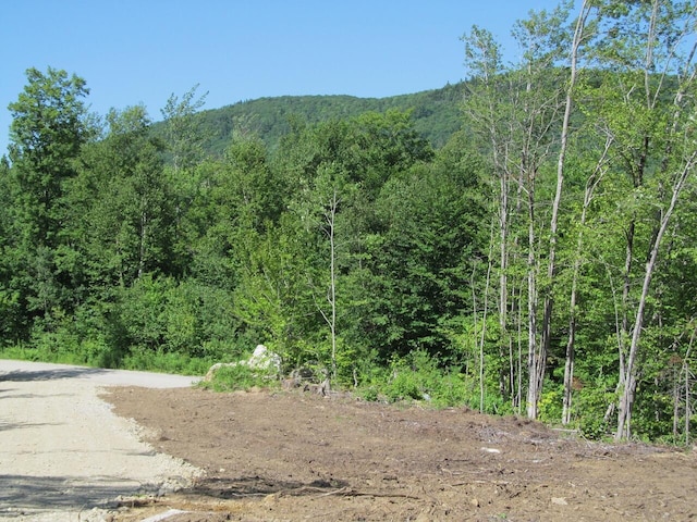 013 Concord Pond Rd, Woodstock, ME 04219 - photo 15
