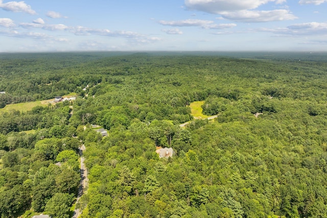 10 Windsor Post Rd, Freeport, ME 04032 - photo 47