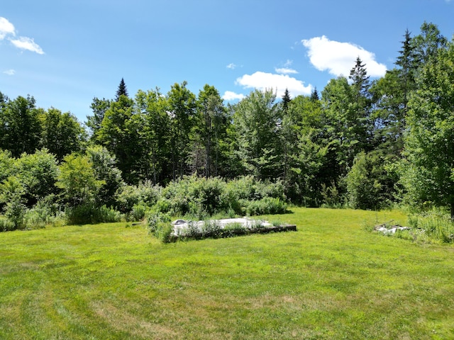 975 Tar Ridge Road, Prentiss Twp T7 R3 Nbpp, ME 04487 - photo 6