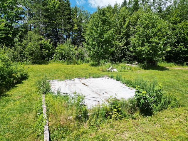 975 Tar Ridge Road, Prentiss Twp T7 R3 Nbpp, ME 04487 - photo 21