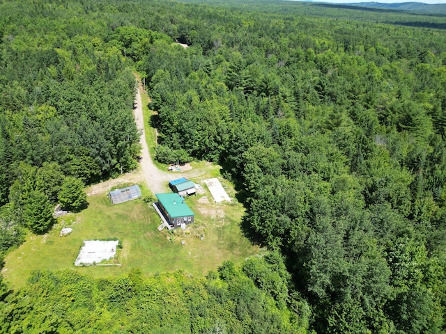 975 Tar Ridge Road, Prentiss Twp T7 R3 Nbpp, ME 04487 - photo 3