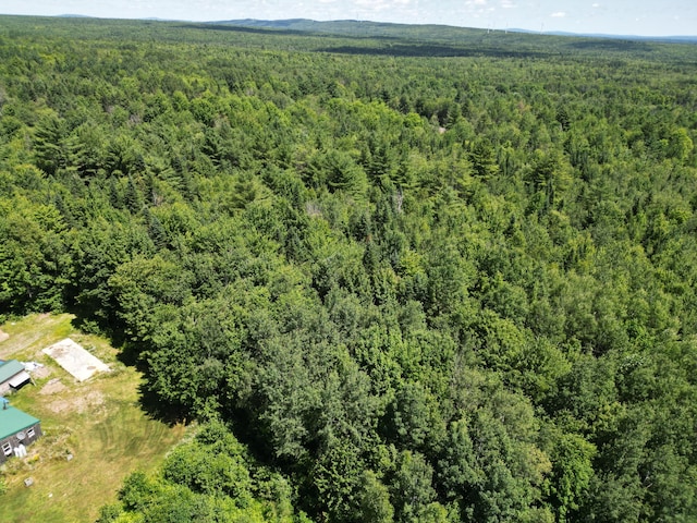 975 Tar Ridge Road, Prentiss Twp T7 R3 Nbpp, ME 04487 - photo 25