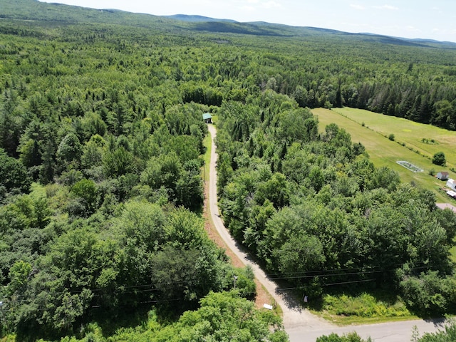 975 Tar Ridge Road, Prentiss Twp T7 R3 Nbpp, ME 04487 - photo 4