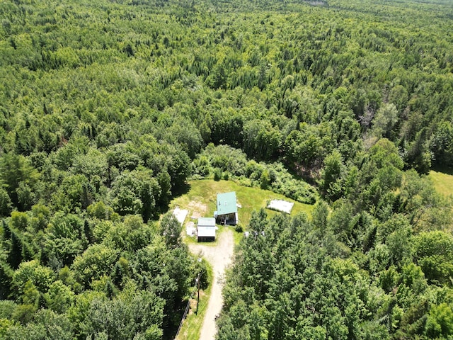 975 Tar Ridge Road, Prentiss Twp T7 R3 Nbpp, ME 04487 - photo 26