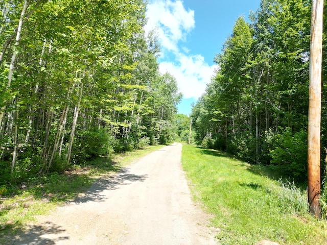 975 Tar Ridge Road, Prentiss Twp T7 R3 Nbpp, ME 04487 - photo 28