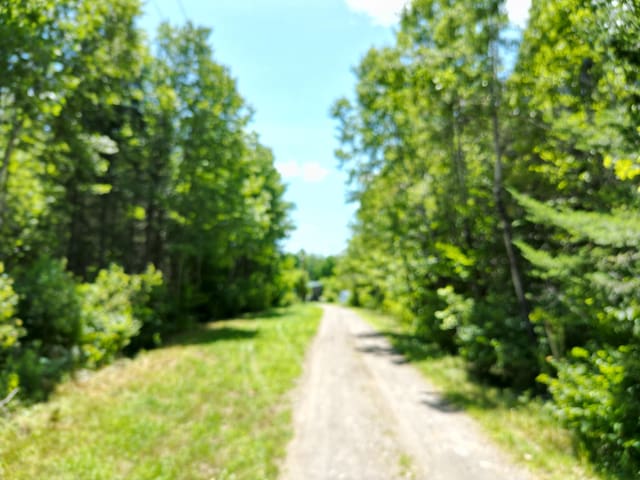 975 Tar Ridge Road, Prentiss Twp T7 R3 Nbpp, ME 04487 - photo 33