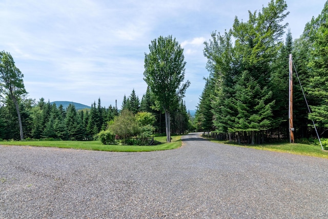169 Wheeler Rd, Rangeley, ME 04970 - photo 64
