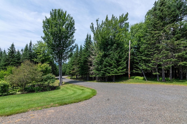 169 Wheeler Rd, Rangeley, ME 04970 - photo 63