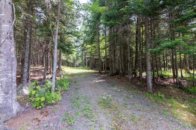 169 Wheeler Rd, Rangeley, ME 04970 - photo 22