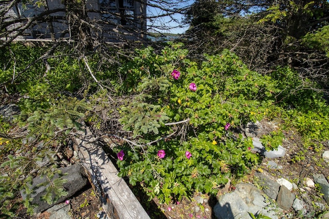 0 Wohoa Bay Is, Addison, ME 04606 - photo 42