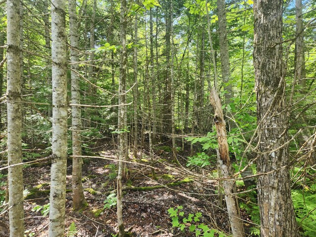 M6L26 Woodland Center Rd, Perham, ME 04766 - photo 3